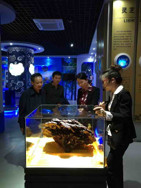 杭州亞運(yùn)會(huì)官方靈芝產(chǎn)品供應(yīng)商|杭州亞運(yùn)會(huì)官方供應(yīng)商|中國靈芝十大品牌|仙客來靈芝|仙客來靈芝破壁孢子粉|仙客來孢子油|仙客來靈芝飲片|仙客來破壁孢子粉|靈芝孢子油|孢子粉|靈芝破壁孢子粉|靈芝|中華老字號(hào) 杭州亞運(yùn)會(huì)官方靈芝產(chǎn)品供應(yīng)商|杭州亞運(yùn)會(huì)官方供應(yīng)商|中國靈芝十大品牌|仙客來靈芝|仙客來靈芝破壁孢子粉|仙客來孢子油|仙客來靈芝飲片|仙客來破壁孢子粉|靈芝孢子油|孢子粉|靈芝破壁孢子粉|靈芝|中華老字號(hào)