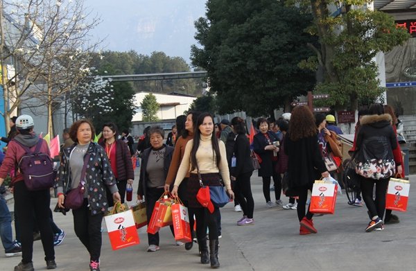 杭州亞運(yùn)會(huì)官方靈芝產(chǎn)品供應(yīng)商|杭州亞運(yùn)會(huì)官方供應(yīng)商|中國靈芝十大品牌|仙客來靈芝|仙客來靈芝破壁孢子粉|仙客來孢子油|仙客來靈芝飲片|仙客來破壁孢子粉|靈芝孢子油|孢子粉|靈芝破壁孢子粉|靈芝|中華老字號(hào)