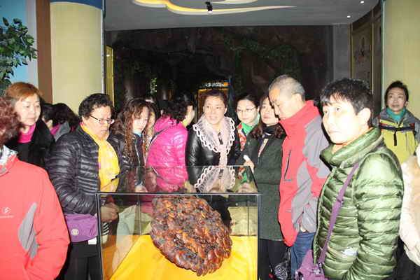 杭州亞運(yùn)會(huì)官方靈芝產(chǎn)品供應(yīng)商|杭州亞運(yùn)會(huì)官方供應(yīng)商|中國靈芝十大品牌|仙客來靈芝|仙客來靈芝破壁孢子粉|仙客來孢子油|仙客來靈芝飲片|仙客來破壁孢子粉|靈芝孢子油|孢子粉|靈芝破壁孢子粉|靈芝|中華老字號(hào)