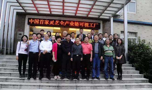 杭州亞運(yùn)會(huì)官方靈芝產(chǎn)品供應(yīng)商|杭州亞運(yùn)會(huì)官方供應(yīng)商|中國靈芝十大品牌|仙客來靈芝|仙客來靈芝破壁孢子粉|仙客來孢子油|仙客來靈芝飲片|仙客來破壁孢子粉|靈芝孢子油|孢子粉|靈芝破壁孢子粉|靈芝|中華老字號(hào) 杭州亞運(yùn)會(huì)官方靈芝產(chǎn)品供應(yīng)商|杭州亞運(yùn)會(huì)官方供應(yīng)商|中國靈芝十大品牌|仙客來靈芝|仙客來靈芝破壁孢子粉|仙客來孢子油|仙客來靈芝飲片|仙客來破壁孢子粉|靈芝孢子油|孢子粉|靈芝破壁孢子粉|靈芝|中華老字號(hào)