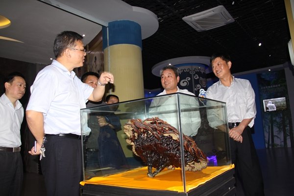 杭州亞運(yùn)會(huì)官方靈芝產(chǎn)品供應(yīng)商|杭州亞運(yùn)會(huì)官方供應(yīng)商|中國(guó)靈芝十大品牌|仙客來(lái)靈芝|仙客來(lái)靈芝破壁孢子粉|仙客來(lái)孢子油|仙客來(lái)靈芝飲片|仙客來(lái)破壁孢子粉|靈芝孢子油|孢子粉|靈芝破壁孢子粉|靈芝|中華老字號(hào) 杭州亞運(yùn)會(huì)官方靈芝產(chǎn)品供應(yīng)商|杭州亞運(yùn)會(huì)官方供應(yīng)商|中國(guó)靈芝十大品牌|仙客來(lái)靈芝|仙客來(lái)靈芝破壁孢子粉|仙客來(lái)孢子油|仙客來(lái)靈芝飲片|仙客來(lái)破壁孢子粉|靈芝孢子油|孢子粉|靈芝破壁孢子粉|靈芝|中華老字號(hào)