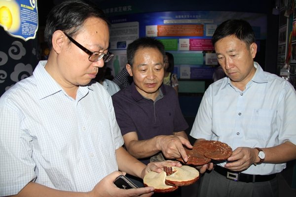 杭州亞運會官方靈芝產(chǎn)品供應商|杭州亞運會官方供應商|中國靈芝十大品牌|仙客來靈芝|仙客來靈芝破壁孢子粉|仙客來孢子油|仙客來靈芝飲片|仙客來破壁孢子粉|靈芝孢子油|孢子粉|靈芝破壁孢子粉|靈芝|中華老字號 杭州亞運會官方靈芝產(chǎn)品供應商|杭州亞運會官方供應商|中國靈芝十大品牌|仙客來靈芝|仙客來靈芝破壁孢子粉|仙客來孢子油|仙客來靈芝飲片|仙客來破壁孢子粉|靈芝孢子油|孢子粉|靈芝破壁孢子粉|靈芝|中華老字號