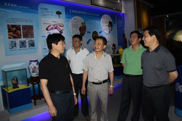 杭州亞運(yùn)會(huì)官方靈芝產(chǎn)品供應(yīng)商|杭州亞運(yùn)會(huì)官方供應(yīng)商|中國(guó)靈芝十大品牌|仙客來靈芝|仙客來靈芝破壁孢子粉|仙客來孢子油|仙客來靈芝飲片|仙客來破壁孢子粉|靈芝孢子油|孢子粉|靈芝破壁孢子粉|靈芝|中華老字號(hào)