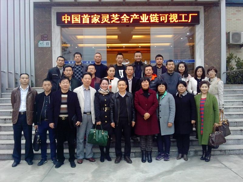 杭州亞運(yùn)會(huì)官方靈芝產(chǎn)品供應(yīng)商|杭州亞運(yùn)會(huì)官方供應(yīng)商|中國(guó)靈芝十大品牌|仙客來(lái)靈芝|仙客來(lái)靈芝破壁孢子粉|仙客來(lái)孢子油|仙客來(lái)靈芝飲片|仙客來(lái)破壁孢子粉|靈芝孢子油|孢子粉|靈芝破壁孢子粉|靈芝|中華老字號(hào)