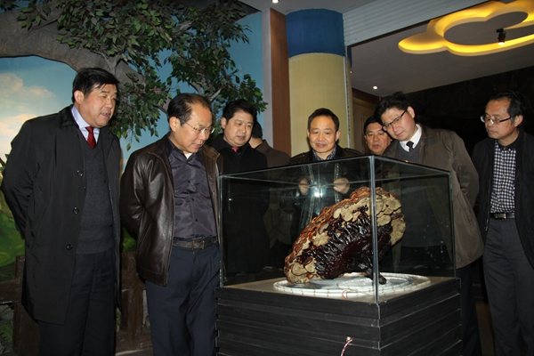 杭州亞運(yùn)會(huì)官方靈芝產(chǎn)品供應(yīng)商|杭州亞運(yùn)會(huì)官方供應(yīng)商|中國(guó)靈芝十大品牌|仙客來(lái)靈芝|仙客來(lái)靈芝破壁孢子粉|仙客來(lái)孢子油|仙客來(lái)靈芝飲片|仙客來(lái)破壁孢子粉|靈芝孢子油|孢子粉|靈芝破壁孢子粉|靈芝|中華老字號(hào)