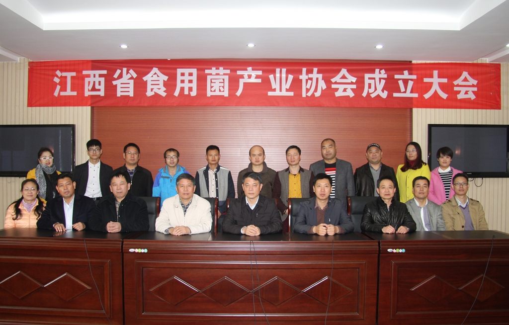 杭州亞運會官方靈芝產(chǎn)品供應商|杭州亞運會官方供應商|中國靈芝十大品牌|仙客來靈芝|仙客來靈芝破壁孢子粉|仙客來孢子油|仙客來靈芝飲片|仙客來破壁孢子粉|靈芝孢子油|孢子粉|靈芝破壁孢子粉|靈芝|中華老字號 杭州亞運會官方靈芝產(chǎn)品供應商|杭州亞運會官方供應商|中國靈芝十大品牌|仙客來靈芝|仙客來靈芝破壁孢子粉|仙客來孢子油|仙客來靈芝飲片|仙客來破壁孢子粉|靈芝孢子油|孢子粉|靈芝破壁孢子粉|靈芝|中華老字號