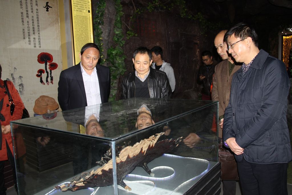 杭州亞運會官方靈芝產(chǎn)品供應(yīng)商|杭州亞運會官方供應(yīng)商|中國靈芝十大品牌|仙客來靈芝|仙客來靈芝破壁孢子粉|仙客來孢子油|仙客來靈芝飲片|仙客來破壁孢子粉|靈芝孢子油|孢子粉|靈芝破壁孢子粉|靈芝|中華老字號 杭州亞運會官方靈芝產(chǎn)品供應(yīng)商|杭州亞運會官方供應(yīng)商|中國靈芝十大品牌|仙客來靈芝|仙客來靈芝破壁孢子粉|仙客來孢子油|仙客來靈芝飲片|仙客來破壁孢子粉|靈芝孢子油|孢子粉|靈芝破壁孢子粉|靈芝|中華老字號