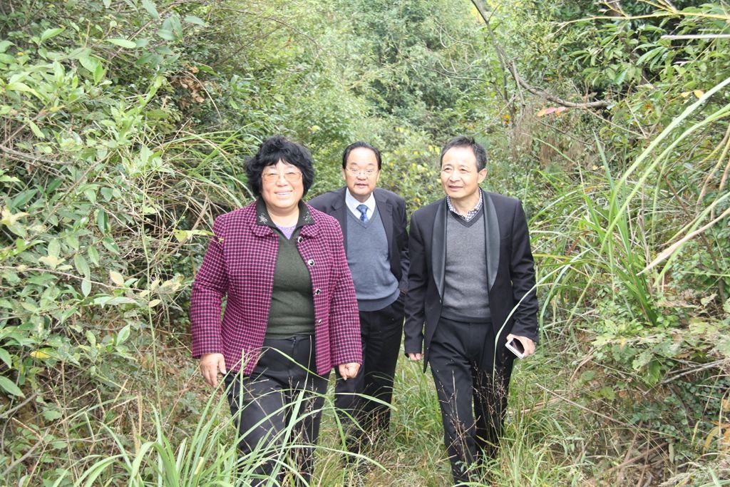 杭州亞運(yùn)會官方靈芝產(chǎn)品供應(yīng)商|杭州亞運(yùn)會官方供應(yīng)商|中國靈芝十大品牌|仙客來靈芝|仙客來靈芝破壁孢子粉|仙客來孢子油|仙客來靈芝飲片|仙客來破壁孢子粉|靈芝孢子油|孢子粉|靈芝破壁孢子粉|靈芝|中華老字號 杭州亞運(yùn)會官方靈芝產(chǎn)品供應(yīng)商|杭州亞運(yùn)會官方供應(yīng)商|中國靈芝十大品牌|仙客來靈芝|仙客來靈芝破壁孢子粉|仙客來孢子油|仙客來靈芝飲片|仙客來破壁孢子粉|靈芝孢子油|孢子粉|靈芝破壁孢子粉|靈芝|中華老字號