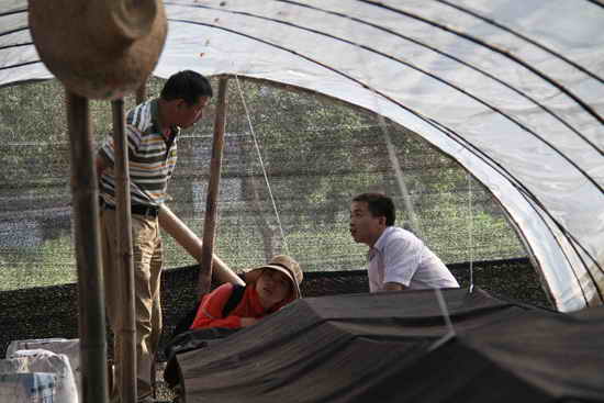 杭州亞運會官方靈芝產品供應商|杭州亞運會官方供應商|中國靈芝十大品牌|仙客來靈芝|仙客來靈芝破壁孢子粉|仙客來孢子油|仙客來靈芝飲片|仙客來破壁孢子粉|靈芝孢子油|孢子粉|靈芝破壁孢子粉|靈芝|中華老字號 杭州亞運會官方靈芝產品供應商|杭州亞運會官方供應商|中國靈芝十大品牌|仙客來靈芝|仙客來靈芝破壁孢子粉|仙客來孢子油|仙客來靈芝飲片|仙客來破壁孢子粉|靈芝孢子油|孢子粉|靈芝破壁孢子粉|靈芝|中華老字號