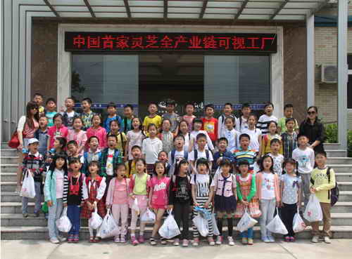 杭州亞運會官方靈芝產品供應商|杭州亞運會官方供應商|中國靈芝十大品牌|仙客來靈芝|仙客來靈芝破壁孢子粉|仙客來孢子油|仙客來靈芝飲片|仙客來破壁孢子粉|靈芝孢子油|孢子粉|靈芝破壁孢子粉|靈芝|中華老字號 杭州亞運會官方靈芝產品供應商|杭州亞運會官方供應商|中國靈芝十大品牌|仙客來靈芝|仙客來靈芝破壁孢子粉|仙客來孢子油|仙客來靈芝飲片|仙客來破壁孢子粉|靈芝孢子油|孢子粉|靈芝破壁孢子粉|靈芝|中華老字號