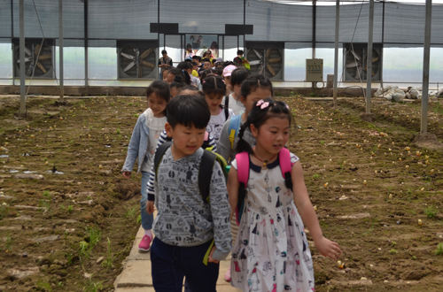 杭州亞運會官方靈芝產品供應商|杭州亞運會官方供應商|中國靈芝十大品牌|仙客來靈芝|仙客來靈芝破壁孢子粉|仙客來孢子油|仙客來靈芝飲片|仙客來破壁孢子粉|靈芝孢子油|孢子粉|靈芝破壁孢子粉|靈芝|中華老字號 杭州亞運會官方靈芝產品供應商|杭州亞運會官方供應商|中國靈芝十大品牌|仙客來靈芝|仙客來靈芝破壁孢子粉|仙客來孢子油|仙客來靈芝飲片|仙客來破壁孢子粉|靈芝孢子油|孢子粉|靈芝破壁孢子粉|靈芝|中華老字號