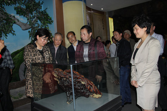 杭州亞運(yùn)會(huì)官方靈芝產(chǎn)品供應(yīng)商|杭州亞運(yùn)會(huì)官方供應(yīng)商|中國(guó)靈芝十大品牌|仙客來(lái)靈芝|仙客來(lái)靈芝破壁孢子粉|仙客來(lái)孢子油|仙客來(lái)靈芝飲片|仙客來(lái)破壁孢子粉|靈芝孢子油|孢子粉|靈芝破壁孢子粉|靈芝|中華老字號(hào) 杭州亞運(yùn)會(huì)官方靈芝產(chǎn)品供應(yīng)商|杭州亞運(yùn)會(huì)官方供應(yīng)商|中國(guó)靈芝十大品牌|仙客來(lái)靈芝|仙客來(lái)靈芝破壁孢子粉|仙客來(lái)孢子油|仙客來(lái)靈芝飲片|仙客來(lái)破壁孢子粉|靈芝孢子油|孢子粉|靈芝破壁孢子粉|靈芝|中華老字號(hào)