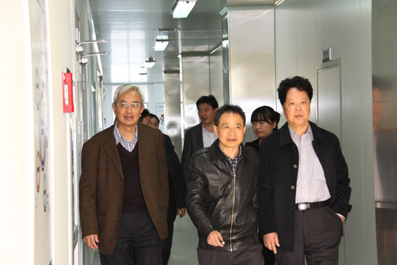 杭州亞運(yùn)會(huì)官方靈芝產(chǎn)品供應(yīng)商|杭州亞運(yùn)會(huì)官方供應(yīng)商|中國(guó)靈芝十大品牌|仙客來(lái)靈芝|仙客來(lái)靈芝破壁孢子粉|仙客來(lái)孢子油|仙客來(lái)靈芝飲片|仙客來(lái)破壁孢子粉|靈芝孢子油|孢子粉|靈芝破壁孢子粉|靈芝|中華老字號(hào)