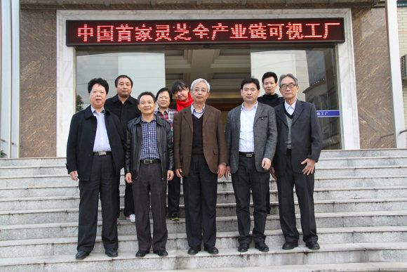 杭州亞運(yùn)會(huì)官方靈芝產(chǎn)品供應(yīng)商|杭州亞運(yùn)會(huì)官方供應(yīng)商|中國(guó)靈芝十大品牌|仙客來(lái)靈芝|仙客來(lái)靈芝破壁孢子粉|仙客來(lái)孢子油|仙客來(lái)靈芝飲片|仙客來(lái)破壁孢子粉|靈芝孢子油|孢子粉|靈芝破壁孢子粉|靈芝|中華老字號(hào)