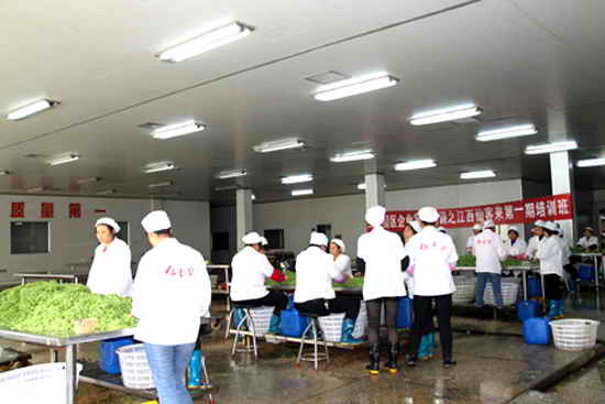 杭州亞運會官方靈芝產(chǎn)品供應(yīng)商|杭州亞運會官方供應(yīng)商|中國靈芝十大品牌|仙客來靈芝|仙客來靈芝破壁孢子粉|仙客來孢子油|仙客來靈芝飲片|仙客來破壁孢子粉|靈芝孢子油|孢子粉|靈芝破壁孢子粉|靈芝|中華老字號 杭州亞運會官方靈芝產(chǎn)品供應(yīng)商|杭州亞運會官方供應(yīng)商|中國靈芝十大品牌|仙客來靈芝|仙客來靈芝破壁孢子粉|仙客來孢子油|仙客來靈芝飲片|仙客來破壁孢子粉|靈芝孢子油|孢子粉|靈芝破壁孢子粉|靈芝|中華老字號