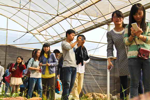 杭州亞運會官方靈芝產品供應商|杭州亞運會官方供應商|中國靈芝十大品牌|仙客來靈芝|仙客來靈芝破壁孢子粉|仙客來孢子油|仙客來靈芝飲片|仙客來破壁孢子粉|靈芝孢子油|孢子粉|靈芝破壁孢子粉|靈芝|中華老字號