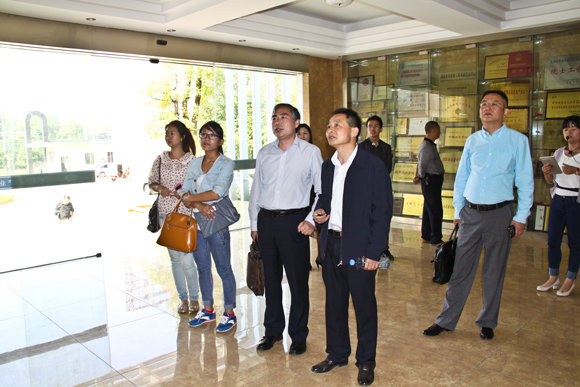 杭州亞運(yùn)會(huì)官方靈芝產(chǎn)品供應(yīng)商|杭州亞運(yùn)會(huì)官方供應(yīng)商|中國(guó)靈芝十大品牌|仙客來靈芝|仙客來靈芝破壁孢子粉|仙客來孢子油|仙客來靈芝飲片|仙客來破壁孢子粉|靈芝孢子油|孢子粉|靈芝破壁孢子粉|靈芝|中華老字號(hào)