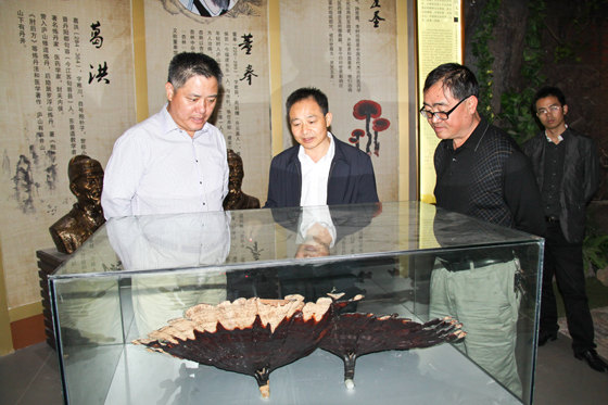 杭州亞運會官方靈芝產(chǎn)品供應(yīng)商|杭州亞運會官方供應(yīng)商|中國靈芝十大品牌|仙客來靈芝|仙客來靈芝破壁孢子粉|仙客來孢子油|仙客來靈芝飲片|仙客來破壁孢子粉|靈芝孢子油|孢子粉|靈芝破壁孢子粉|靈芝|中華老字號