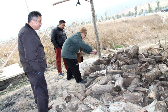 杭州亞運會官方靈芝產品供應商|杭州亞運會官方供應商|中國靈芝十大品牌|仙客來靈芝|仙客來靈芝破壁孢子粉|仙客來孢子油|仙客來靈芝飲片|仙客來破壁孢子粉|靈芝孢子油|孢子粉|靈芝破壁孢子粉|靈芝|中華老字號 杭州亞運會官方靈芝產品供應商|杭州亞運會官方供應商|中國靈芝十大品牌|仙客來靈芝|仙客來靈芝破壁孢子粉|仙客來孢子油|仙客來靈芝飲片|仙客來破壁孢子粉|靈芝孢子油|孢子粉|靈芝破壁孢子粉|靈芝|中華老字號