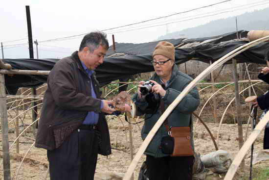 杭州亞運會官方靈芝產品供應商|杭州亞運會官方供應商|中國靈芝十大品牌|仙客來靈芝|仙客來靈芝破壁孢子粉|仙客來孢子油|仙客來靈芝飲片|仙客來破壁孢子粉|靈芝孢子油|孢子粉|靈芝破壁孢子粉|靈芝|中華老字號 杭州亞運會官方靈芝產品供應商|杭州亞運會官方供應商|中國靈芝十大品牌|仙客來靈芝|仙客來靈芝破壁孢子粉|仙客來孢子油|仙客來靈芝飲片|仙客來破壁孢子粉|靈芝孢子油|孢子粉|靈芝破壁孢子粉|靈芝|中華老字號