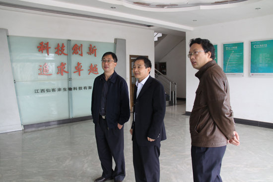 杭州亞運會官方靈芝產(chǎn)品供應商|杭州亞運會官方供應商|中國靈芝十大品牌|仙客來靈芝|仙客來靈芝破壁孢子粉|仙客來孢子油|仙客來靈芝飲片|仙客來破壁孢子粉|靈芝孢子油|孢子粉|靈芝破壁孢子粉|靈芝|中華老字號 杭州亞運會官方靈芝產(chǎn)品供應商|杭州亞運會官方供應商|中國靈芝十大品牌|仙客來靈芝|仙客來靈芝破壁孢子粉|仙客來孢子油|仙客來靈芝飲片|仙客來破壁孢子粉|靈芝孢子油|孢子粉|靈芝破壁孢子粉|靈芝|中華老字號