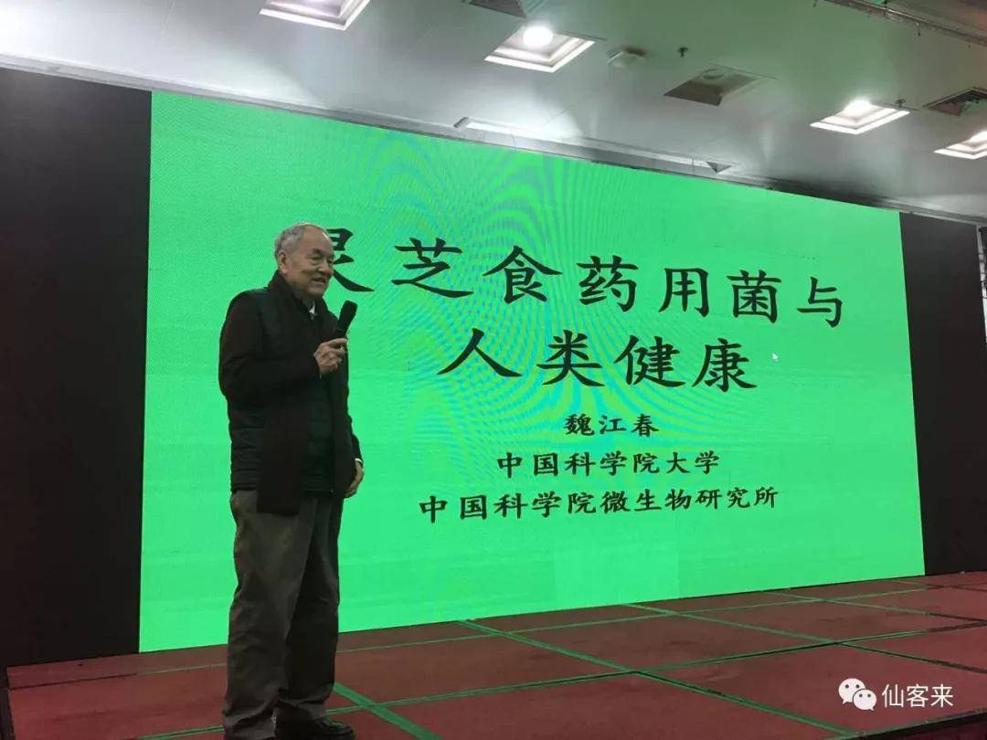 杭州亞運(yùn)會官方靈芝產(chǎn)品供應(yīng)商|杭州亞運(yùn)會官方供應(yīng)商|中國靈芝十大品牌|仙客來靈芝|仙客來靈芝破壁孢子粉|仙客來孢子油|仙客來靈芝飲片|仙客來破壁孢子粉|靈芝孢子油|孢子粉|靈芝破壁孢子粉|靈芝|中華老字號