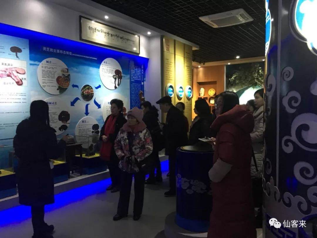 中國靈芝十大品牌|仙客來靈芝|仙客來靈芝破壁孢子粉|仙客來孢子油|仙客來靈芝飲片|仙客來破壁孢子粉|仙客來靈芝中藥飲片|馳名商標|m.sinishell.cn| 中國靈芝十大品牌|仙客來靈芝|仙客來靈芝破壁孢子粉|仙客來孢子油|仙客來靈芝飲片|仙客來破壁孢子粉|仙客來靈芝中藥飲片|馳名商標|m.sinishell.cn|