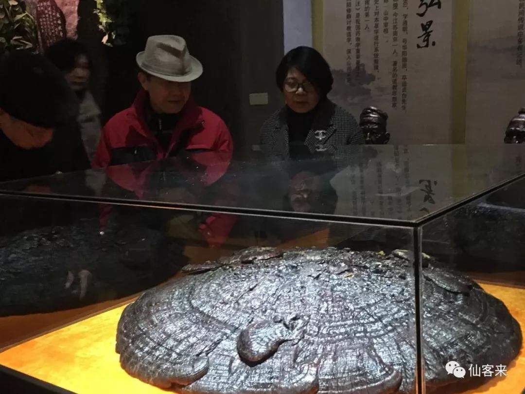 中國靈芝十大品牌|仙客來靈芝|仙客來靈芝破壁孢子粉|仙客來孢子油|仙客來靈芝飲片|仙客來破壁孢子粉|仙客來靈芝中藥飲片|馳名商標|m.sinishell.cn| 中國靈芝十大品牌|仙客來靈芝|仙客來靈芝破壁孢子粉|仙客來孢子油|仙客來靈芝飲片|仙客來破壁孢子粉|仙客來靈芝中藥飲片|馳名商標|m.sinishell.cn|