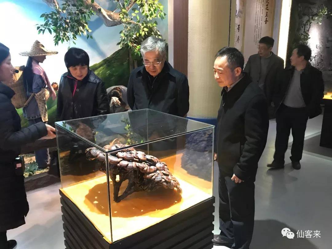 中國靈芝十大品牌|仙客來靈芝|仙客來靈芝破壁孢子粉|仙客來孢子油|仙客來靈芝飲片|仙客來破壁孢子粉|仙客來靈芝中藥飲片|馳名商標|m.sinishell.cn|