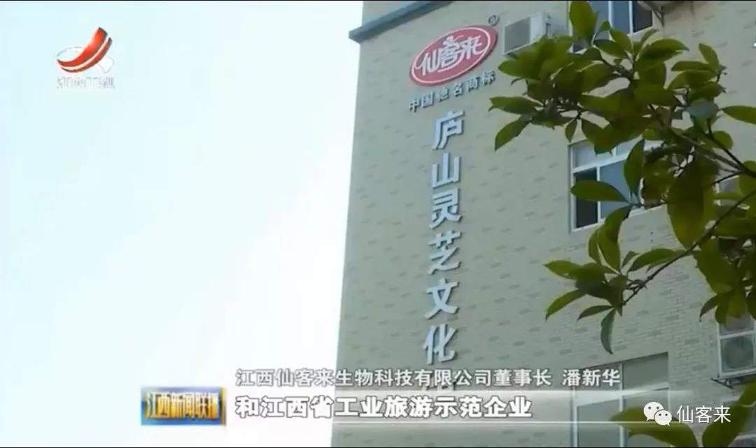 中國(guó)靈芝十大品牌|仙客來(lái)靈芝|仙客來(lái)靈芝破壁孢子粉|仙客來(lái)孢子油|仙客來(lái)靈芝飲片|仙客來(lái)破壁孢子粉|仙客來(lái)靈芝中藥飲片|馳名商標(biāo)|m.sinishell.cn|