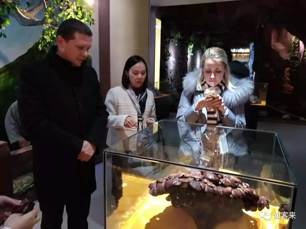 中國(guó)靈芝十大品牌|仙客來(lái)靈芝|仙客來(lái)靈芝破壁孢子粉|仙客來(lái)孢子油|仙客來(lái)靈芝飲片|仙客來(lái)破壁孢子粉|仙客來(lái)靈芝中藥飲片|馳名商標(biāo)|m.sinishell.cn| 中國(guó)靈芝十大品牌|仙客來(lái)靈芝|仙客來(lái)靈芝破壁孢子粉|仙客來(lái)孢子油|仙客來(lái)靈芝飲片|仙客來(lái)破壁孢子粉|仙客來(lái)靈芝中藥飲片|馳名商標(biāo)|m.sinishell.cn|