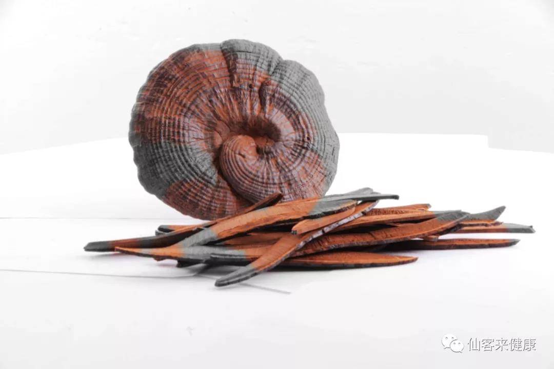 中國靈芝十大品牌|仙客來靈芝|仙客來靈芝破壁孢子粉|仙客來孢子油|仙客來靈芝飲片|仙客來破壁孢子粉|仙客來靈芝中藥飲片|馳名商標(biāo)|m.sinishell.cn| 中國靈芝十大品牌|仙客來靈芝|仙客來靈芝破壁孢子粉|仙客來孢子油|仙客來靈芝飲片|仙客來破壁孢子粉|仙客來靈芝中藥飲片|馳名商標(biāo)|m.sinishell.cn|