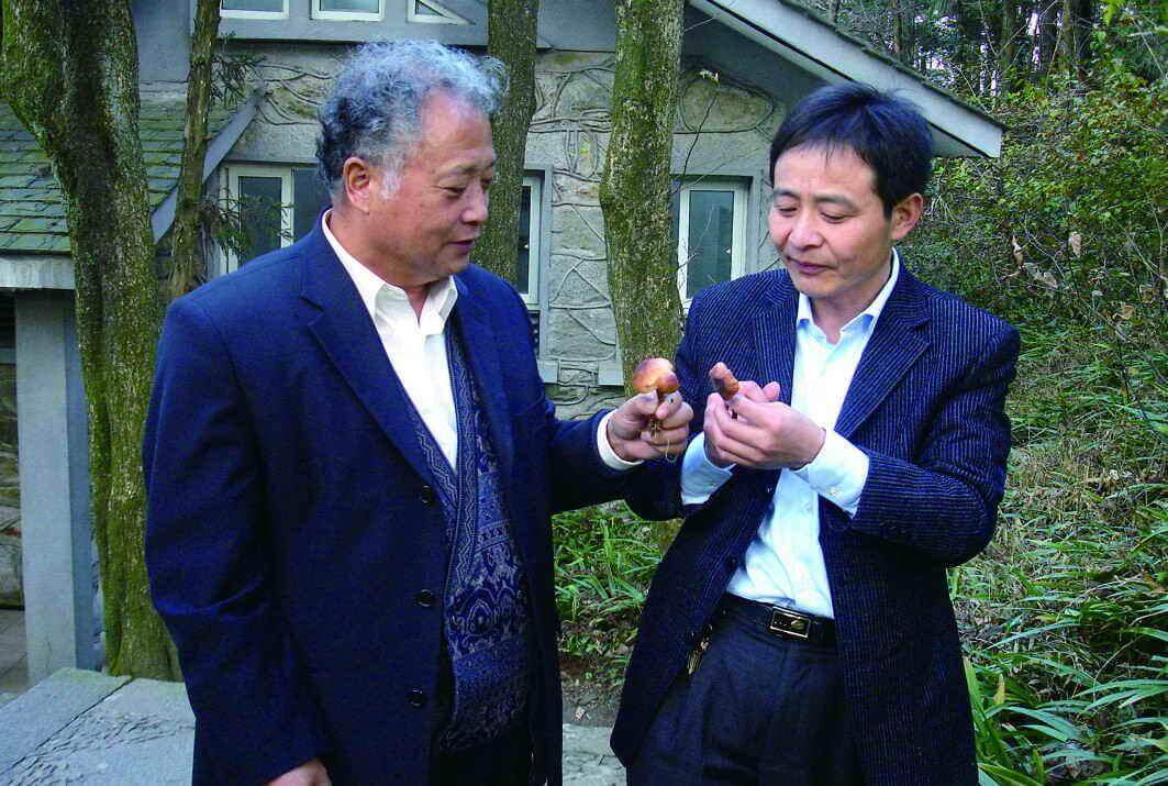 杭州亞運會官方靈芝產(chǎn)品供應(yīng)商|杭州亞運會官方供應(yīng)商|中國靈芝十大品牌|仙客來靈芝|仙客來靈芝破壁孢子粉|仙客來孢子油|仙客來靈芝飲片|仙客來破壁孢子粉|靈芝孢子油|孢子粉|靈芝破壁孢子粉|靈芝|中華老字號 杭州亞運會官方靈芝產(chǎn)品供應(yīng)商|杭州亞運會官方供應(yīng)商|中國靈芝十大品牌|仙客來靈芝|仙客來靈芝破壁孢子粉|仙客來孢子油|仙客來靈芝飲片|仙客來破壁孢子粉|靈芝孢子油|孢子粉|靈芝破壁孢子粉|靈芝|中華老字號