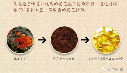 中國靈芝十大品牌|仙客來靈芝|仙客來靈芝破壁孢子粉|仙客來孢子油|仙客來靈芝飲片|仙客來破壁孢子粉|仙客來靈芝中藥飲片|馳名商標|m.sinishell.cn|