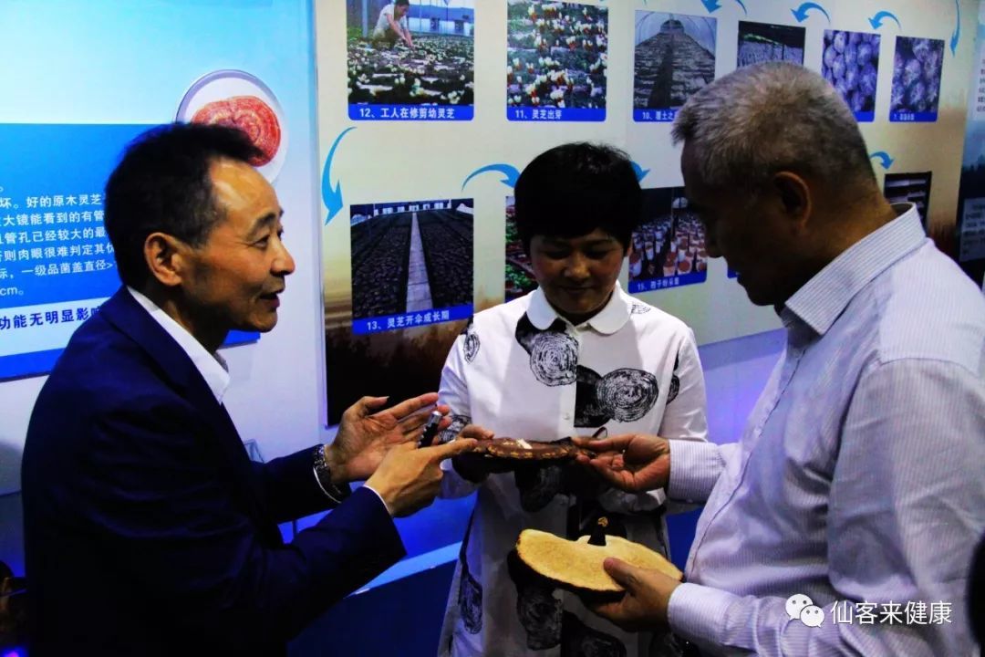 杭州亞運會官方靈芝產(chǎn)品供應商|杭州亞運會官方供應商|中國靈芝十大品牌|仙客來靈芝|仙客來靈芝破壁孢子粉|仙客來孢子油|仙客來靈芝飲片|仙客來破壁孢子粉|靈芝孢子油|孢子粉|靈芝破壁孢子粉|靈芝|中華老字號