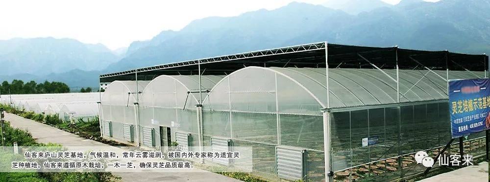 杭州亞運會官方靈芝產(chǎn)品供應商|杭州亞運會官方供應商|中國靈芝十大品牌|仙客來靈芝|仙客來靈芝破壁孢子粉|仙客來孢子油|仙客來靈芝飲片|仙客來破壁孢子粉|靈芝孢子油|孢子粉|靈芝破壁孢子粉|靈芝|中華老字號 杭州亞運會官方靈芝產(chǎn)品供應商|杭州亞運會官方供應商|中國靈芝十大品牌|仙客來靈芝|仙客來靈芝破壁孢子粉|仙客來孢子油|仙客來靈芝飲片|仙客來破壁孢子粉|靈芝孢子油|孢子粉|靈芝破壁孢子粉|靈芝|中華老字號