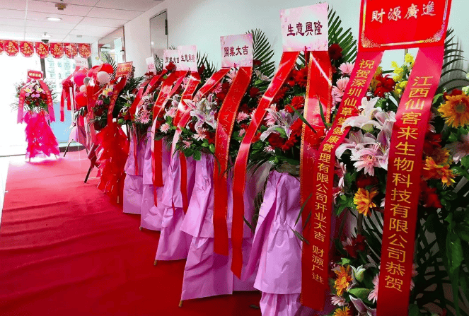 中國靈芝十大品牌|仙客來靈芝|仙客來靈芝破壁孢子粉|仙客來孢子油|仙客來靈芝飲片|仙客來破壁孢子粉|仙客來靈芝中藥飲片|馳名商標(biāo)|m.sinishell.cn|