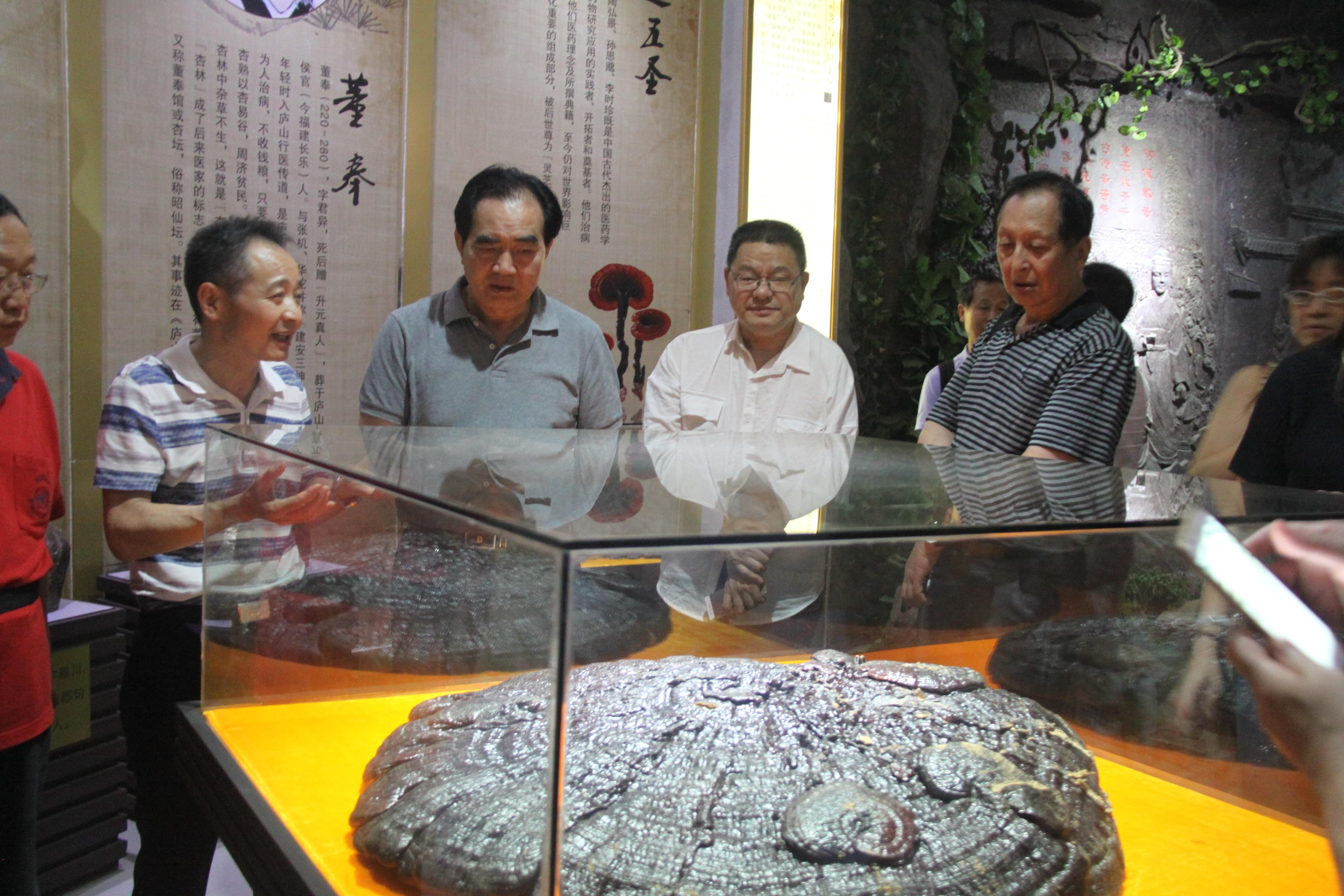 中國(guó)靈芝十大品牌|仙客來(lái)靈芝|仙客來(lái)靈芝破壁孢子粉|仙客來(lái)孢子油|仙客來(lái)靈芝飲片|仙客來(lái)破壁孢子粉|仙客來(lái)靈芝中藥飲片|馳名商標(biāo)|m.sinishell.cn|