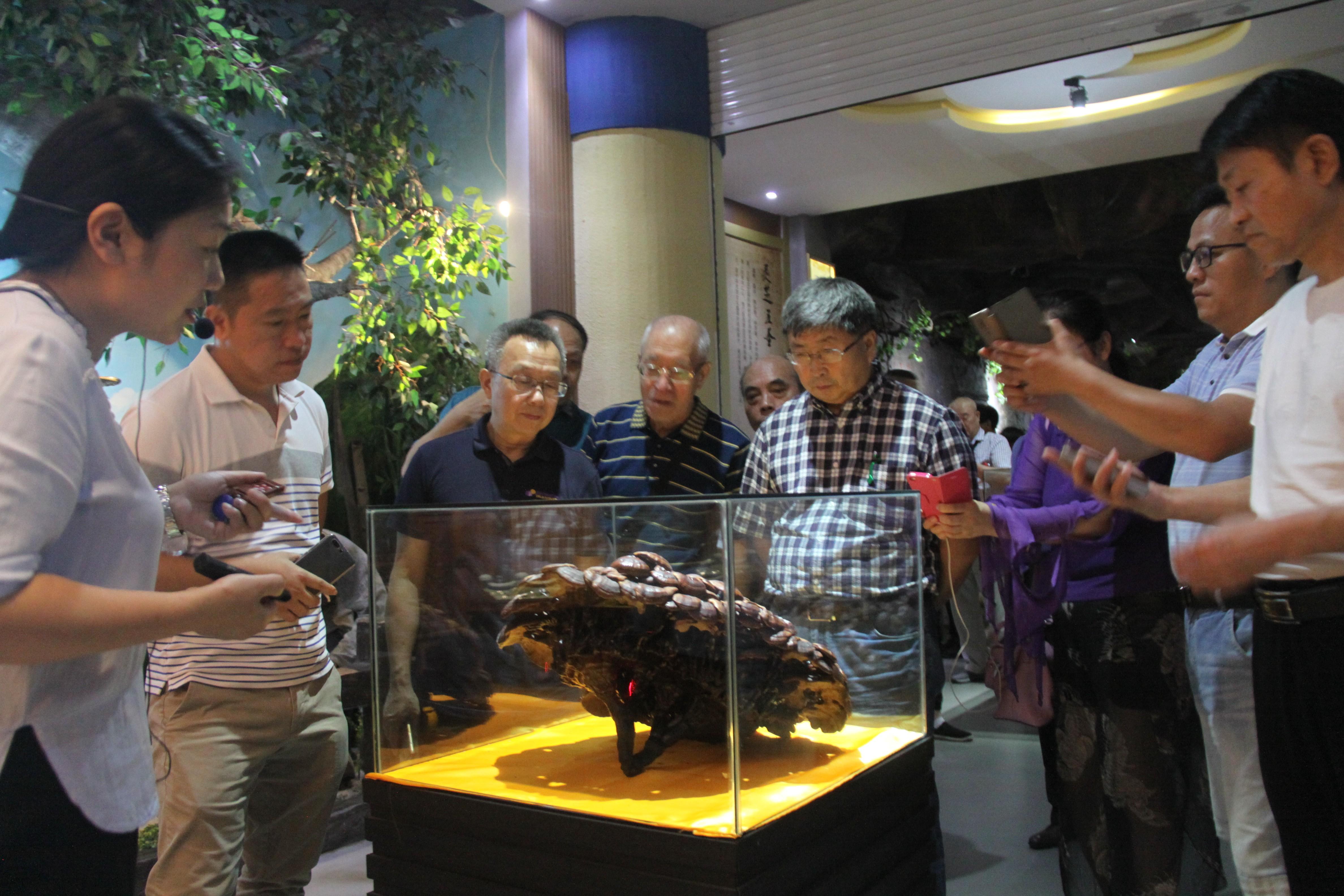 中國(guó)靈芝十大品牌|仙客來(lái)靈芝|仙客來(lái)靈芝破壁孢子粉|仙客來(lái)孢子油|仙客來(lái)靈芝飲片|仙客來(lái)破壁孢子粉|仙客來(lái)靈芝中藥飲片|馳名商標(biāo)|m.sinishell.cn|