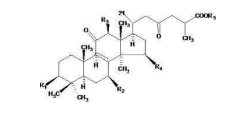 中國靈芝十大品牌|仙客來靈芝|仙客來靈芝破壁孢子粉|仙客來孢子油|仙客來靈芝飲片|仙客來破壁孢子粉|仙客來靈芝中藥飲片|馳名商標|m.sinishell.cn| 中國靈芝十大品牌|仙客來靈芝|仙客來靈芝破壁孢子粉|仙客來孢子油|仙客來靈芝飲片|仙客來破壁孢子粉|仙客來靈芝中藥飲片|馳名商標|m.sinishell.cn|