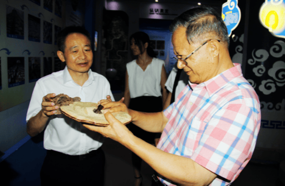 中國靈芝十大品牌|仙客來靈芝|仙客來靈芝破壁孢子粉|仙客來孢子油|仙客來靈芝飲片|仙客來破壁孢子粉|仙客來靈芝中藥飲片|馳名商標|m.sinishell.cn|