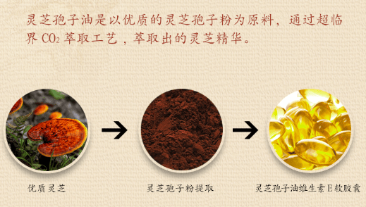 中國靈芝十大品牌|仙客來靈芝|仙客來靈芝破壁孢子粉|仙客來孢子油|仙客來靈芝飲片|仙客來破壁孢子粉|仙客來靈芝中藥飲片|馳名商標(biāo)|m.sinishell.cn| 中國靈芝十大品牌|仙客來靈芝|仙客來靈芝破壁孢子粉|仙客來孢子油|仙客來靈芝飲片|仙客來破壁孢子粉|仙客來靈芝中藥飲片|馳名商標(biāo)|m.sinishell.cn|