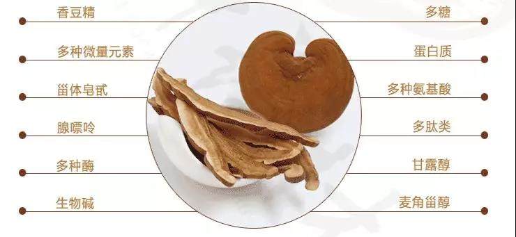 中國靈芝十大品牌|仙客來靈芝|仙客來靈芝破壁孢子粉|仙客來孢子油|仙客來靈芝飲片|仙客來破壁孢子粉|仙客來靈芝中藥飲片|馳名商標(biāo)|m.sinishell.cn| 中國靈芝十大品牌|仙客來靈芝|仙客來靈芝破壁孢子粉|仙客來孢子油|仙客來靈芝飲片|仙客來破壁孢子粉|仙客來靈芝中藥飲片|馳名商標(biāo)|m.sinishell.cn|