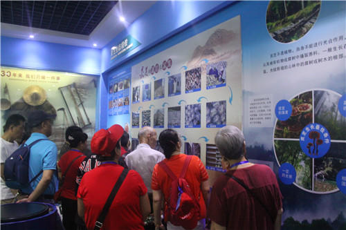 杭州亞運(yùn)會官方靈芝產(chǎn)品供應(yīng)商|杭州亞運(yùn)會官方供應(yīng)商|中國靈芝十大品牌|仙客來靈芝|仙客來靈芝破壁孢子粉|仙客來孢子油|仙客來靈芝飲片|仙客來破壁孢子粉|靈芝孢子油|孢子粉|靈芝破壁孢子粉|靈芝|中華老字號