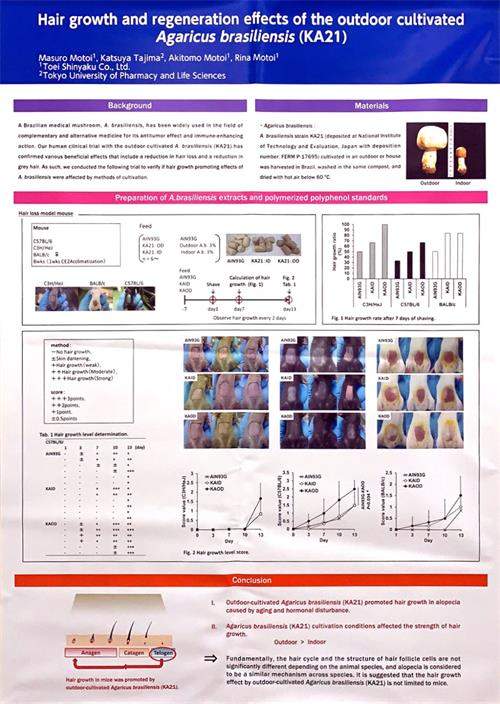 中國靈芝十大品牌|仙客來靈芝|仙客來靈芝破壁孢子粉|仙客來孢子油|仙客來靈芝飲片|仙客來破壁孢子粉|仙客來靈芝中藥飲片|馳名商標(biāo)|m.sinishell.cn|