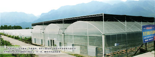 中國(guó)靈芝十大品牌|仙客來(lái)靈芝|仙客來(lái)靈芝破壁孢子粉|仙客來(lái)孢子油|仙客來(lái)靈芝飲片|仙客來(lái)破壁孢子粉|仙客來(lái)靈芝中藥飲片|馳名商標(biāo)|m.sinishell.cn|