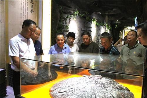 中國(guó)靈芝十大品牌|仙客來(lái)靈芝|仙客來(lái)靈芝破壁孢子粉|仙客來(lái)孢子油|仙客來(lái)靈芝飲片|仙客來(lái)破壁孢子粉|仙客來(lái)靈芝中藥飲片|馳名商標(biāo)|m.sinishell.cn|