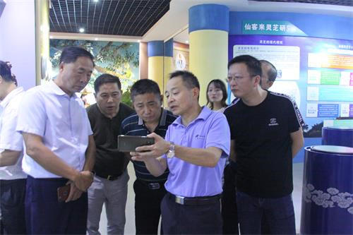 中國(guó)靈芝十大品牌|仙客來(lái)靈芝|仙客來(lái)靈芝破壁孢子粉|仙客來(lái)孢子油|仙客來(lái)靈芝飲片|仙客來(lái)破壁孢子粉|仙客來(lái)靈芝中藥飲片|馳名商標(biāo)|m.sinishell.cn|