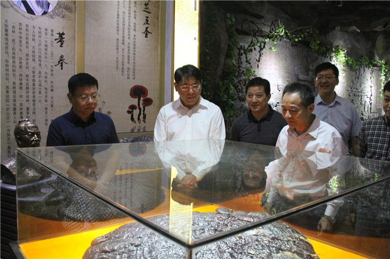 中國靈芝十大品牌|仙客來靈芝|仙客來靈芝破壁孢子粉|仙客來孢子油|仙客來靈芝飲片|仙客來破壁孢子粉|仙客來靈芝中藥飲片|馳名商標(biāo)|m.sinishell.cn|