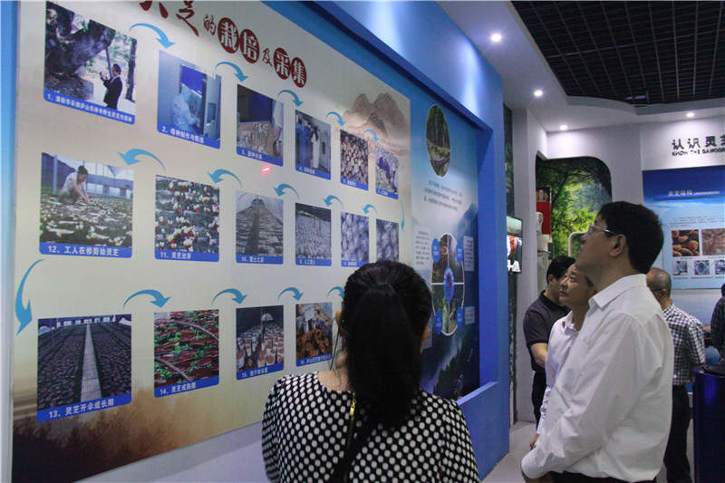 中國靈芝十大品牌|仙客來靈芝|仙客來靈芝破壁孢子粉|仙客來孢子油|仙客來靈芝飲片|仙客來破壁孢子粉|仙客來靈芝中藥飲片|馳名商標(biāo)|m.sinishell.cn|